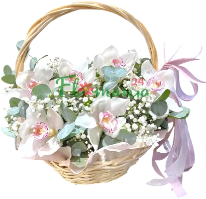 Лунные орхидеи